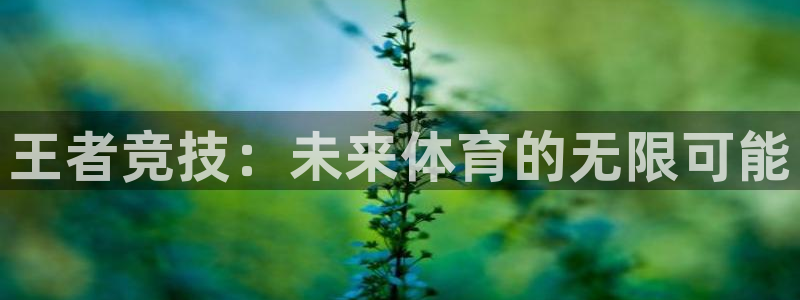 松鼠休闲游戏官网：王者竞技：未来体育的无限可能