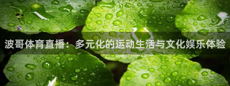 松鼠客户端：波哥体育直播：多元化的运动生活与文化娱乐体验