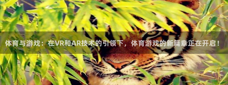 松鼠宝贝体育：体育与游戏：在VR和AR技术的引领下，体育游戏的新篇章正在开启！