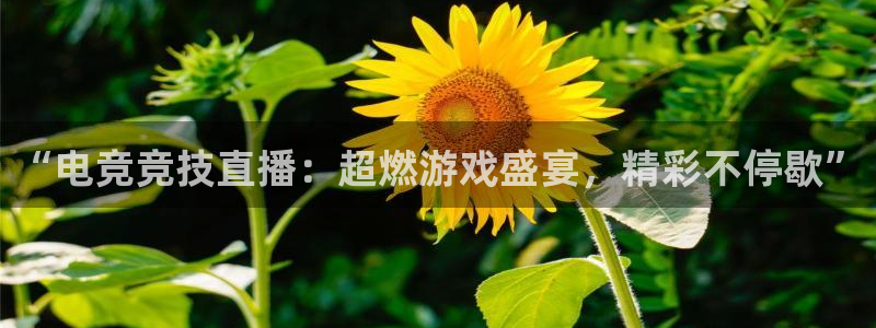 松鼠体育：“电竞竞技直播：超燃游戏盛宴，精彩不停歇”