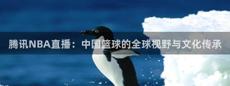 松鼠休闲游戏官网：腾讯NBA直播：中国篮球的全球视野与文化传承