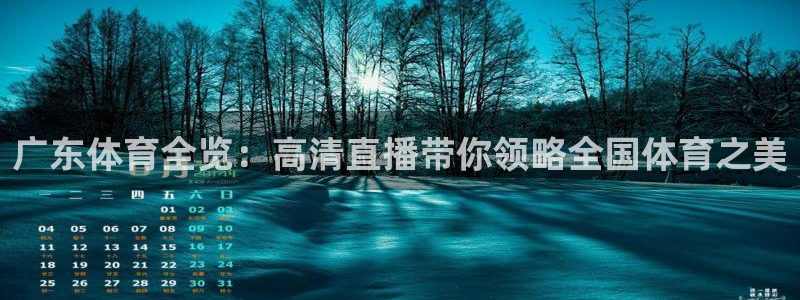 松鼠宝贝体育：广东体育全览：高清直播带你领略全国体育之美