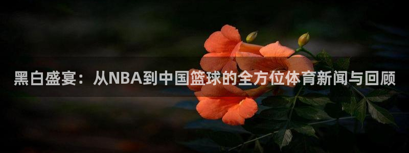 松鼠直播tv：黑白盛宴：从NBA到中国篮球的全方位体育新闻与回顾