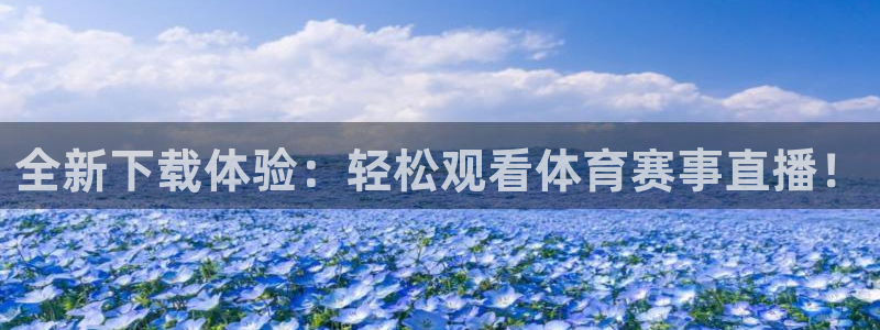 松鼠网官方下载：全新下载体验：轻松观看体育赛事直播！