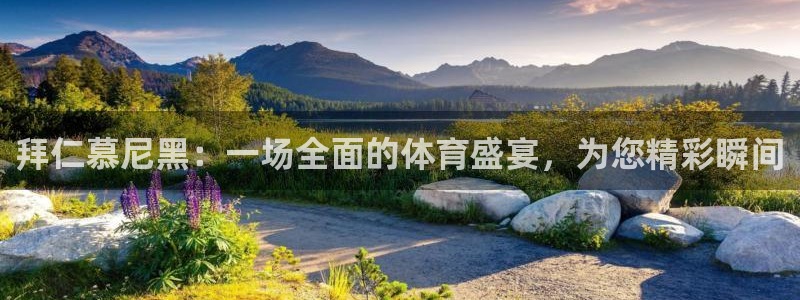 松鼠网官方下载：拜仁慕尼黑：一场全面的体育盛宴，为您精彩瞬间