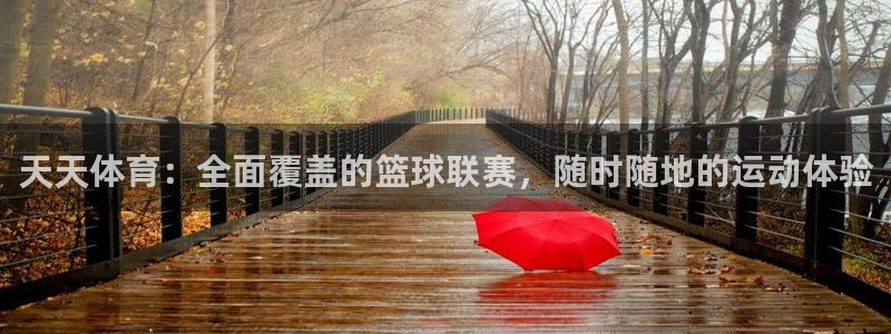 下载松鼠电视直播：天天体育：全面覆盖的篮球联赛，随时随地的运动体验