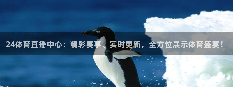 松鼠宝贝体育：24体育直播中心：精彩赛事、实时更新，全方位展示体育盛宴！