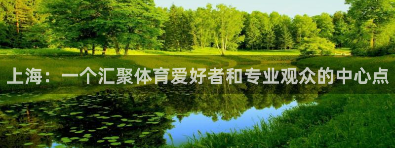 松鼠官方网站：上海：一个汇聚体育爱好者和专业观众的中心点