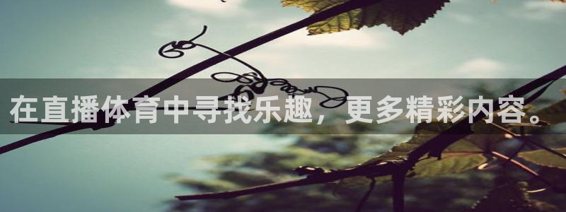 松鼠直播：在直播体育中寻找乐趣，更多精彩内容。